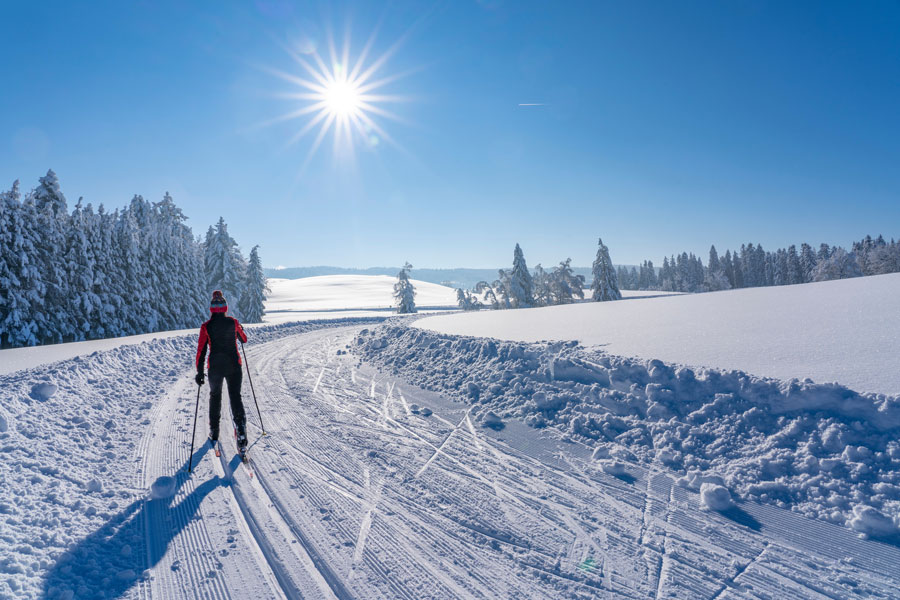 winter scene with cross country skier