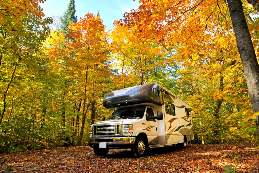 RV camping in forest